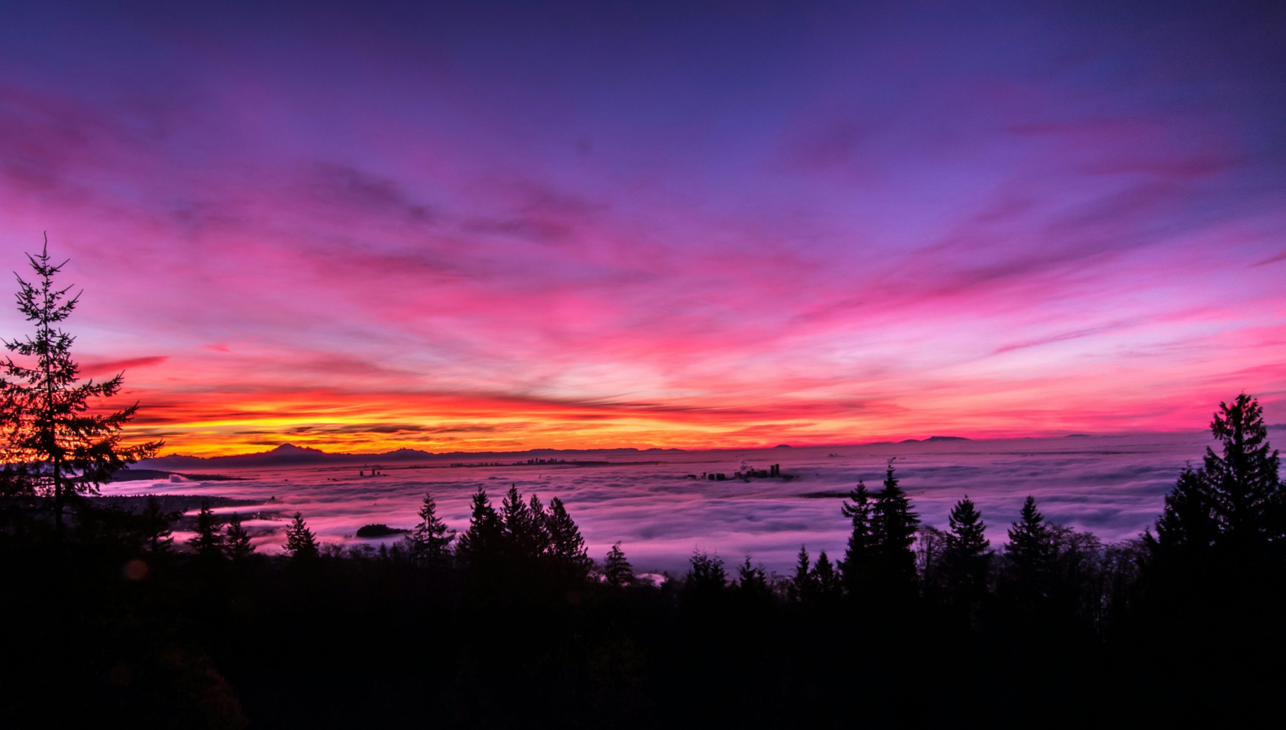 pink, orange, and purple hues in sunset
